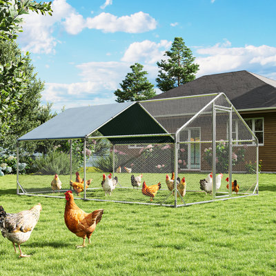 Chicken Coop For Up To 48 Chickens