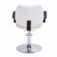 Fauteuil de coiffure hydraulique avec éponge haute densité confortable et cuir PU durable pour les salons professionnels-1699536659-1699536670