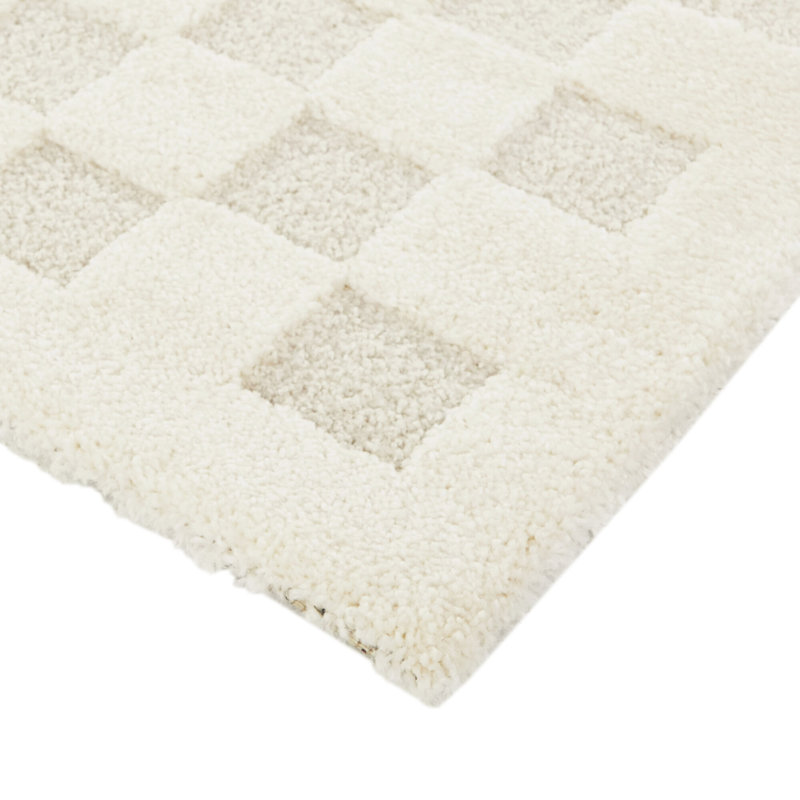 Auletta Checkered Machine Woven Rectangle Polyester/Polypropylene Area Rug in Cream, Rectangle  5'3" x 7'