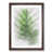 Walnut Framed selected