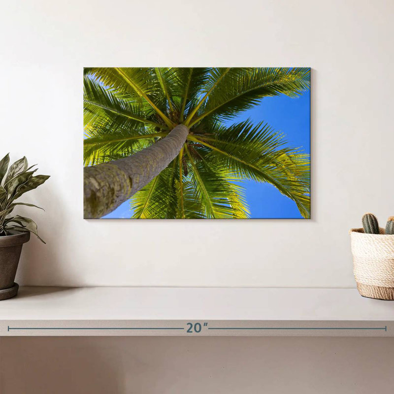 Harnek Coconut Tree Shade, 8" H x 12" W