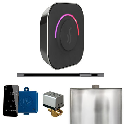 ButlerTouch Steam Shower Control Package with TempoTouch Control and Linear Steamhead 