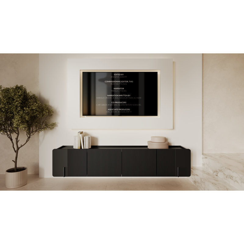 Berthia Unfinished TV Stand for TVs up to 55", Black