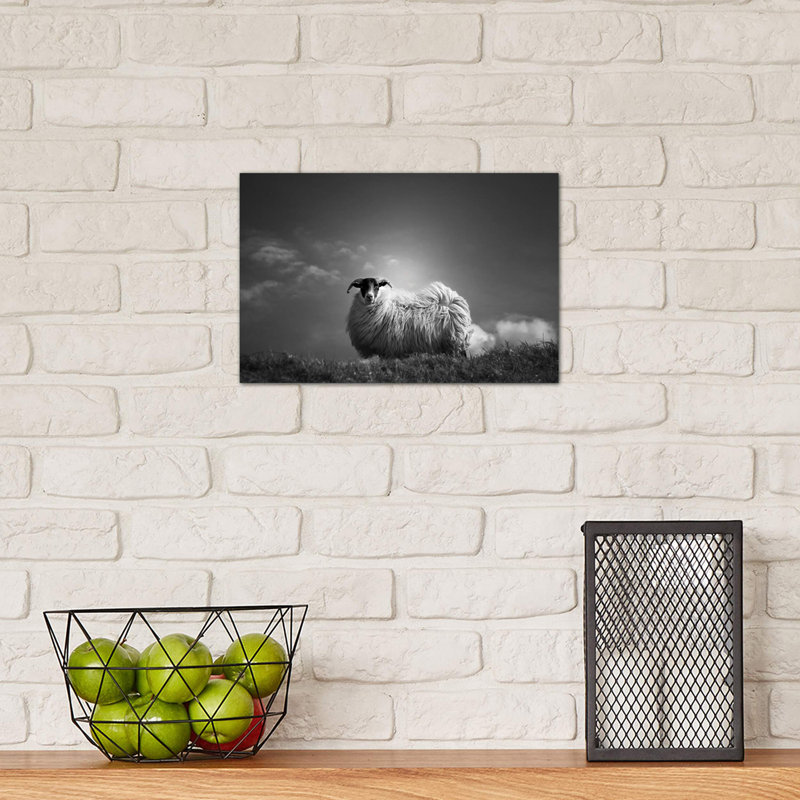 Le Fluff by Dorit Fuhg - Wrapped Canvas Print, 20.32 cm H x 30.48 cm W