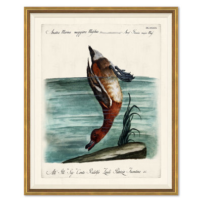 Odd Birds Giclee Print