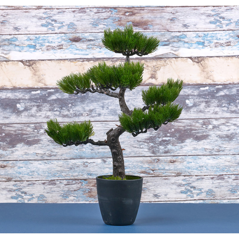 49cm Faux Bonsai Plant in Planter