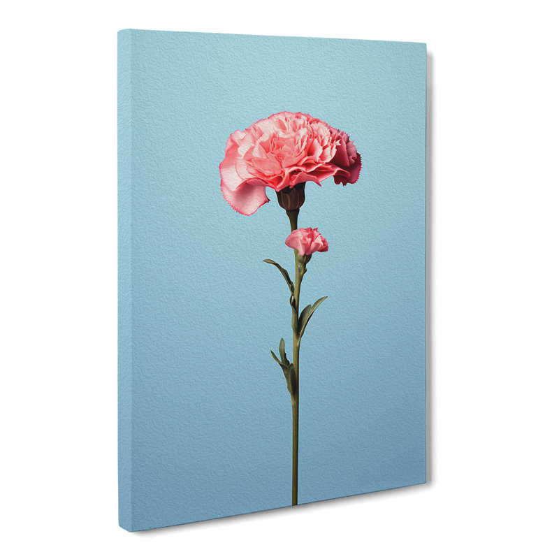 Carnation Flower Minimalism No.2 - Wrapped Canvas, 60cm H x 40cm W x 3cm D