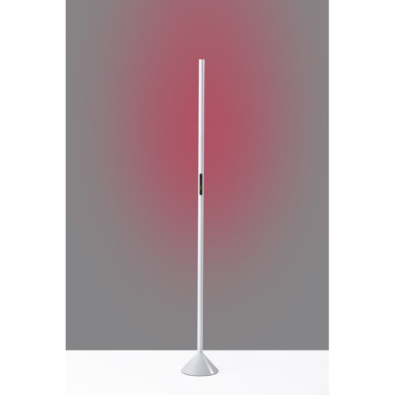 Leif 58'' LED Novelty Floor Lamp, Matte White