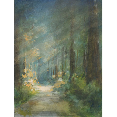 " Sun Soaked Redwoods "