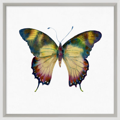 «Butterfly Study 9» par Lillian August - peinture encadrée
