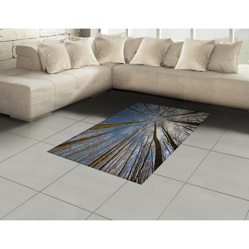 Scenery High Density Long Fiber Poly Threads Decorative Area Rug Carpet, Rectangle 4' x 5'8"