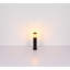 Jerrik Transparent Lamp Post (complete)