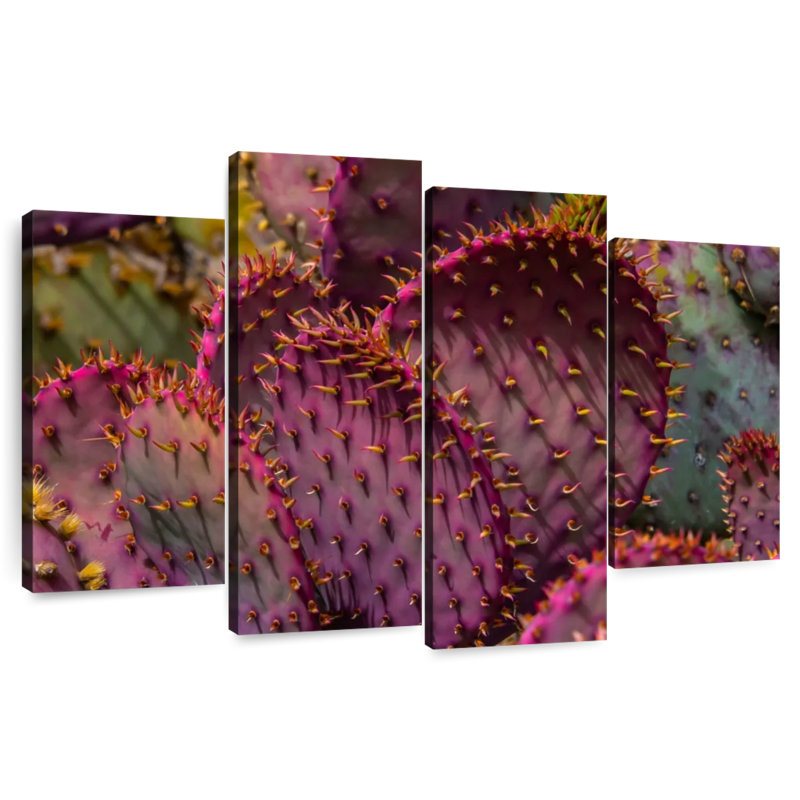 Harnek Angel Wing Cactus, 42" H x 68" W