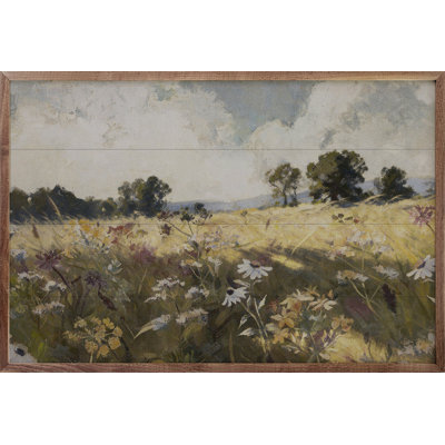 Summertime Daisy Field