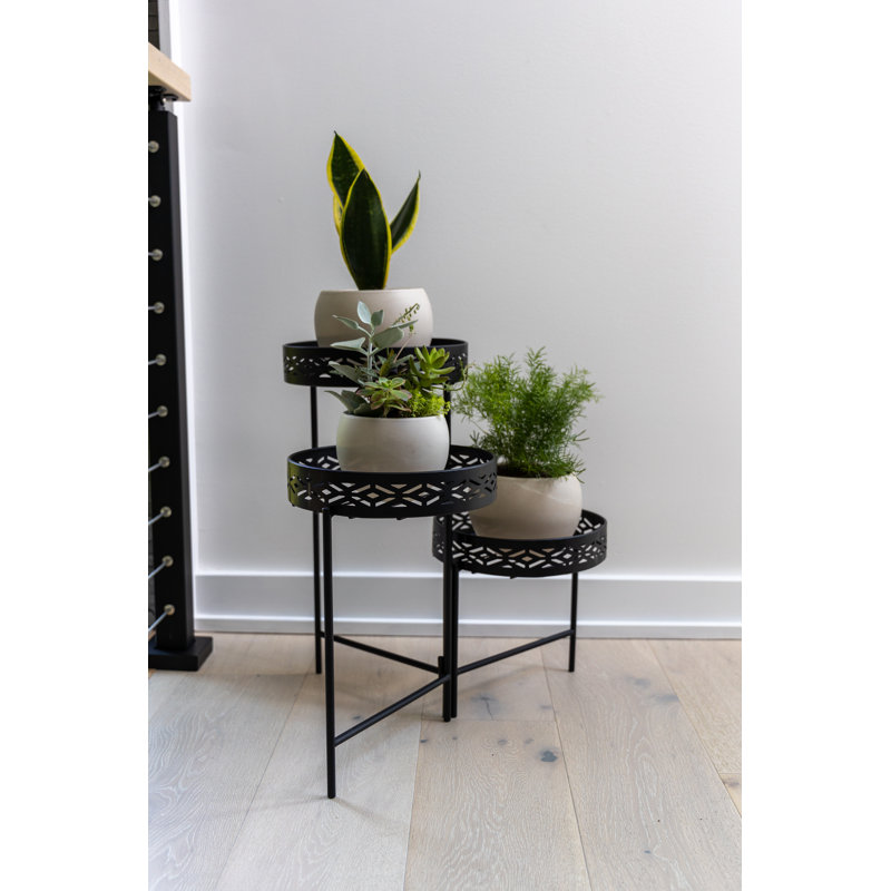 Stevyn Plant Stand