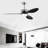 52'' ABS Blades Ceiling Fan With Lights And DC Remote