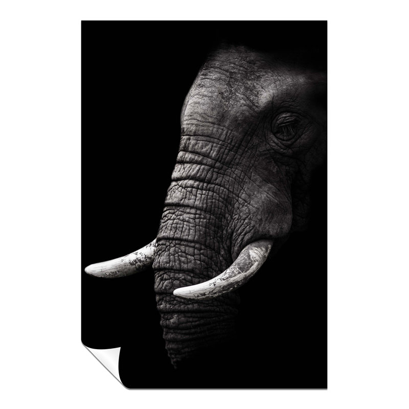Old Wrinkled Elephant Portrait - No Frame Print, 76cm H x 51cm W