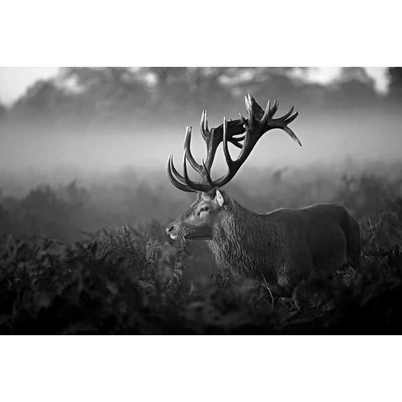 Wrapped Canvas Print, 60.96 cm H x 91.44 cm W