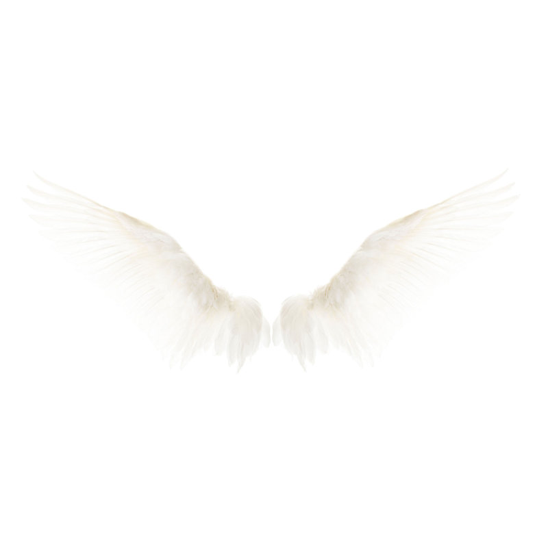 " White Wings ", 22.5" H x 45" W