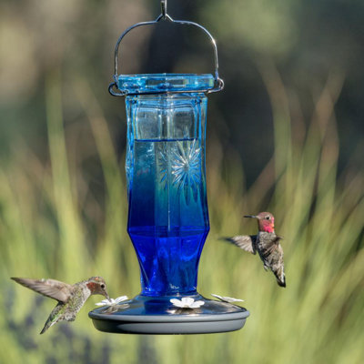 Ladrick Glass Hanging Hummingbird Feeder
