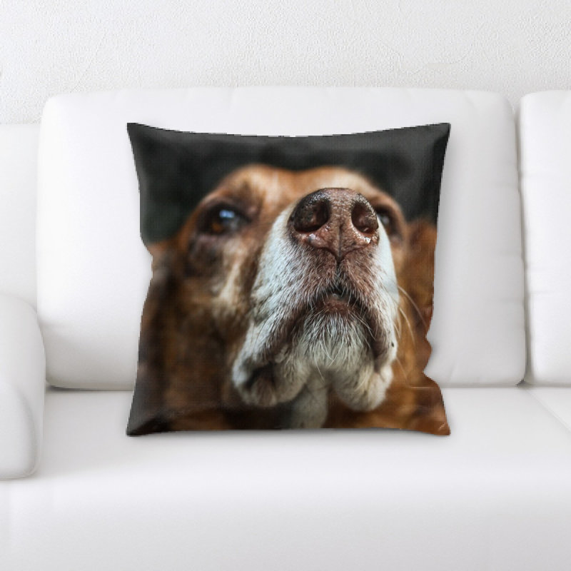 Coussin pour chien