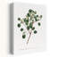 «Euphorbia Petiolaris 1805 Flower Garden» par Francis Sansom, art mural contemporain abstrait-903719278