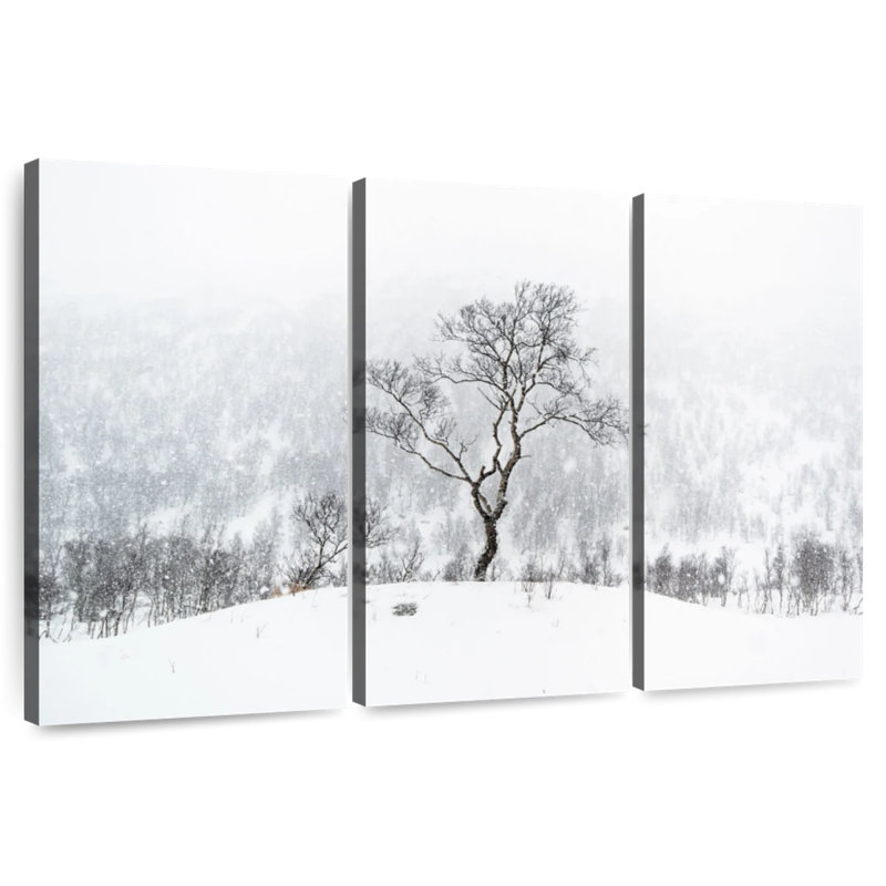 Alvord Tree Standing Alone, 24" H x 38" W