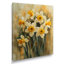 Jaune et blanc délicats pétales jonquilles - jonquilles murales-106115659-136047421