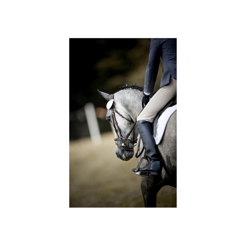 Equestrian Club II Print by Sofia Fox, Matte, 38" H x 24" W x 1.5 "D