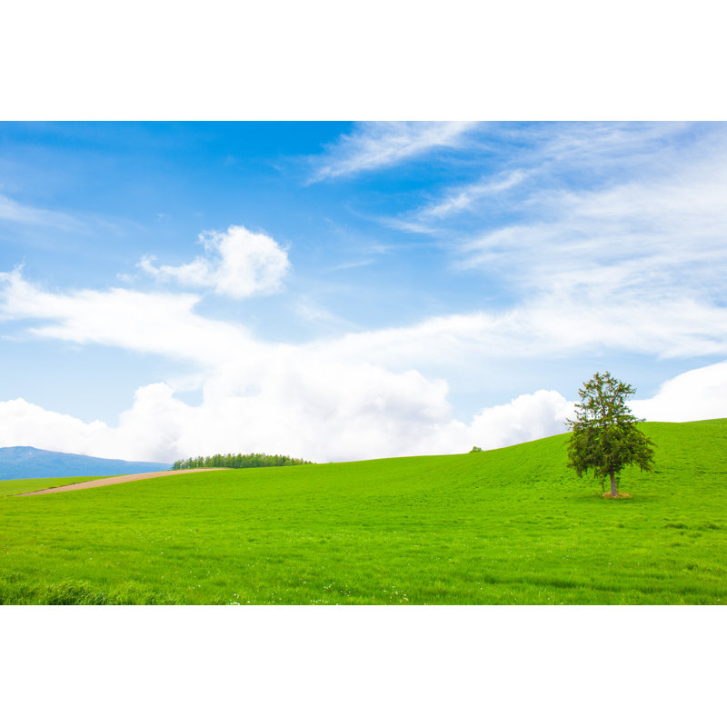Prairie by Jaimax - Wrapped Canvas Print, 30cm H x 46cm W