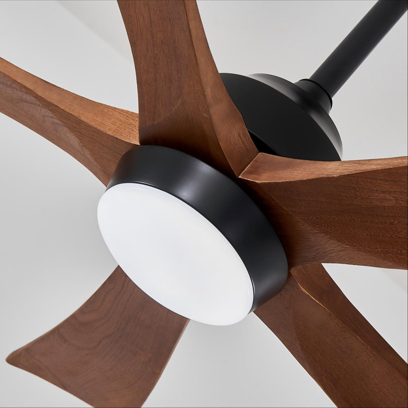 Ventilateur de plafond moderne à 5 pales de 42 po avec lumière, Noir mat, 42 po de largeur, Bois naturel