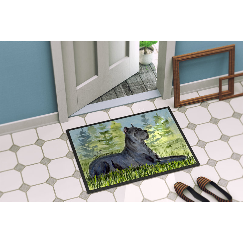 Tapis d'entrée antidérapant Kehrli, Rectangle 2 pi x 3 pi