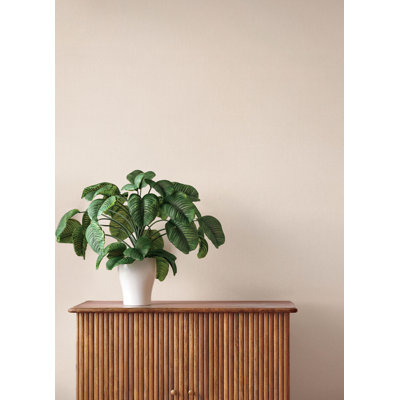 Naim Blush Solid Texture Wallpaper