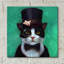 «Tuxedo Cat» par Lucia Heffernan, art mural en verre acrylique-1361922832