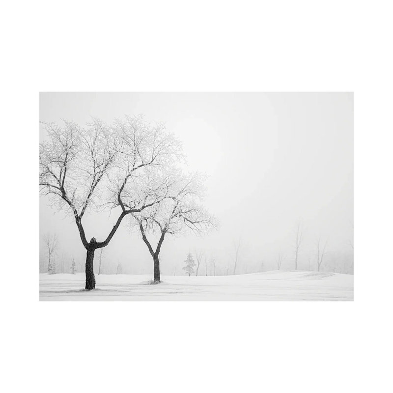Two Hoarfrost Trees 1 Piece Wrapped Canvas Wall Art, 101.6 cm H x 66.04 cm W x 3.175 cm D