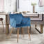 Sofiya 47cm H Velvet Upholstered Armchair-88674277-88674285