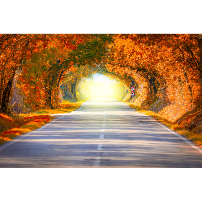 Autumn Landscape by A_Taiga - Wrapped Canvas Print, 30cm H x 46cm W x 3.8cm D