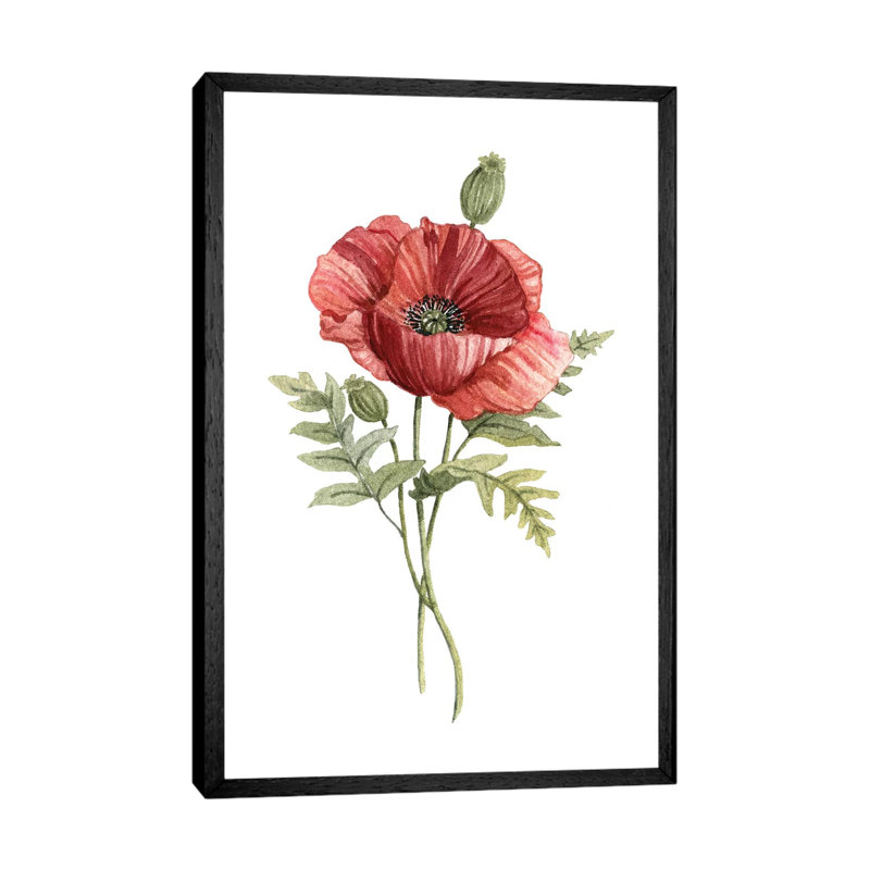 Scarlet Poppy by Carol Robinson - Painting on Canvas, Black Framed, 152.5 cm H x 101.5 cm W