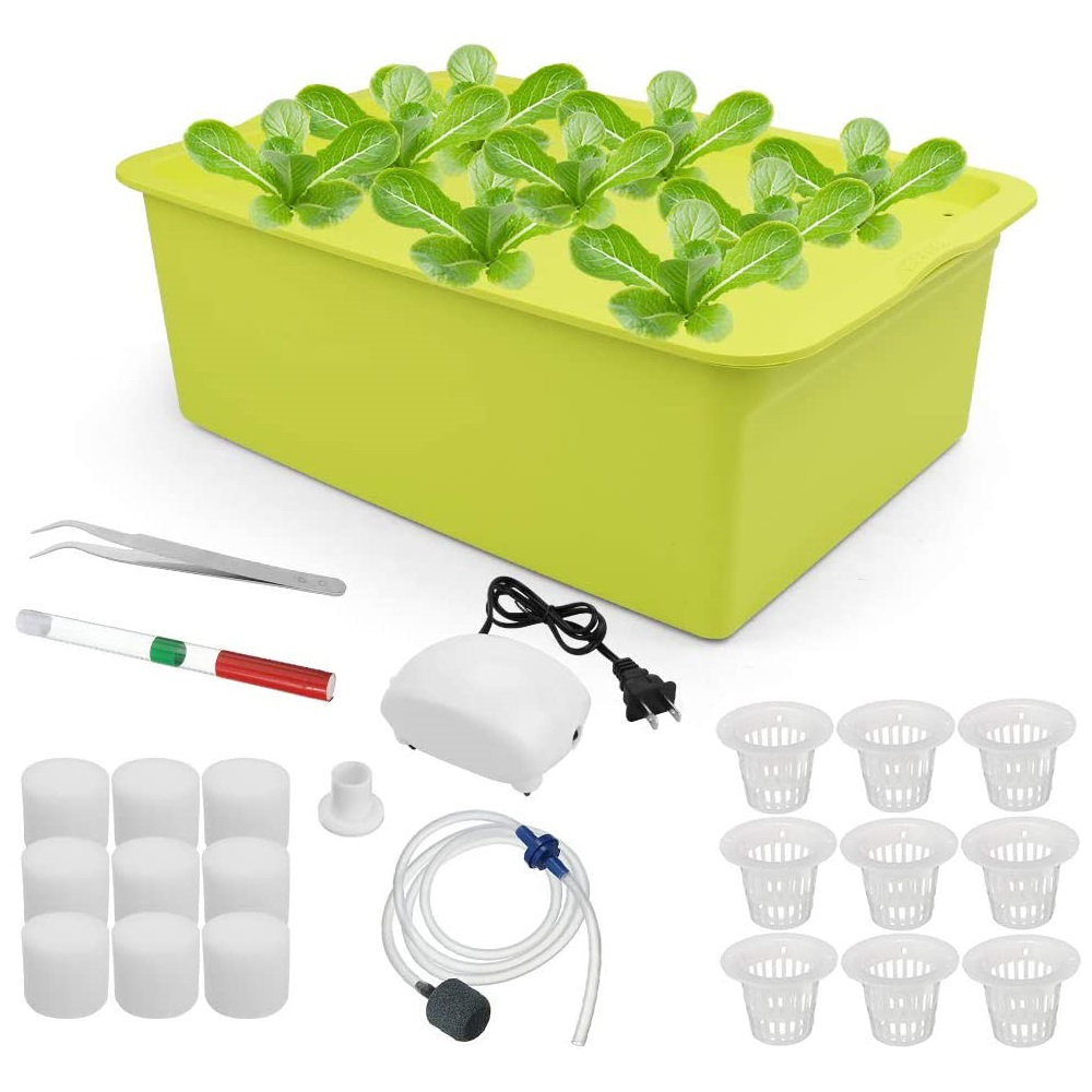 Hydroponic Salad box - (Tue-sat Subscription Free delivery)