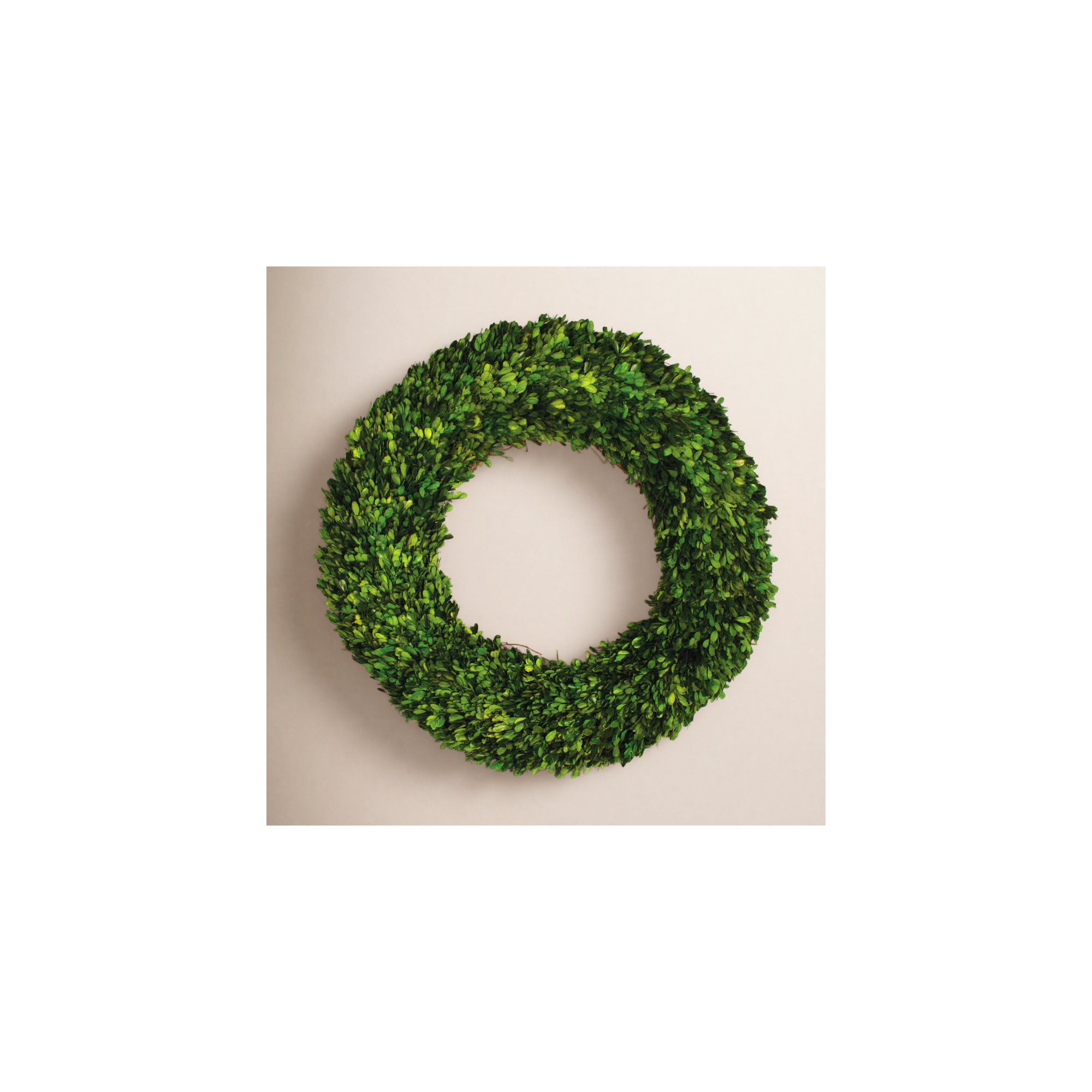 Alby Preserved Boxwood Wreath, 30" H x 31" W x 7" D