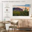 Cactus View II-242843589-242843586