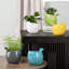 Zygi Bird Gloss Ceramic Planter Pot for 4" Nursery Pots (Teal)-673452331