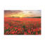 Nice Sunset Over Poppy Field Flower Canvas Wall Art-1601115305