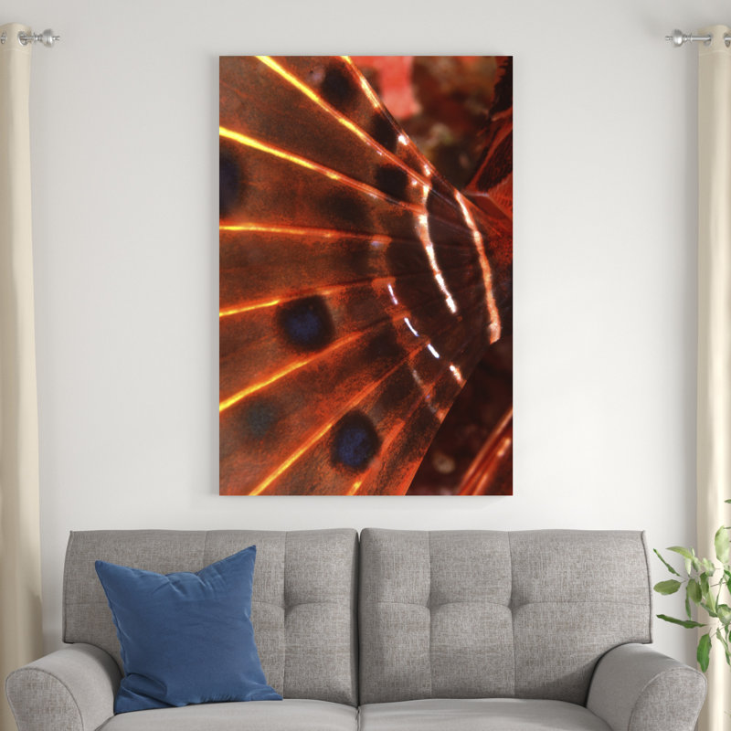 Flamboyant, Palau, Micronésie, H 48 po x l 32 po x P 1,25 po
