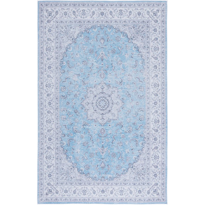Oriental Blue/Grey Area Rug