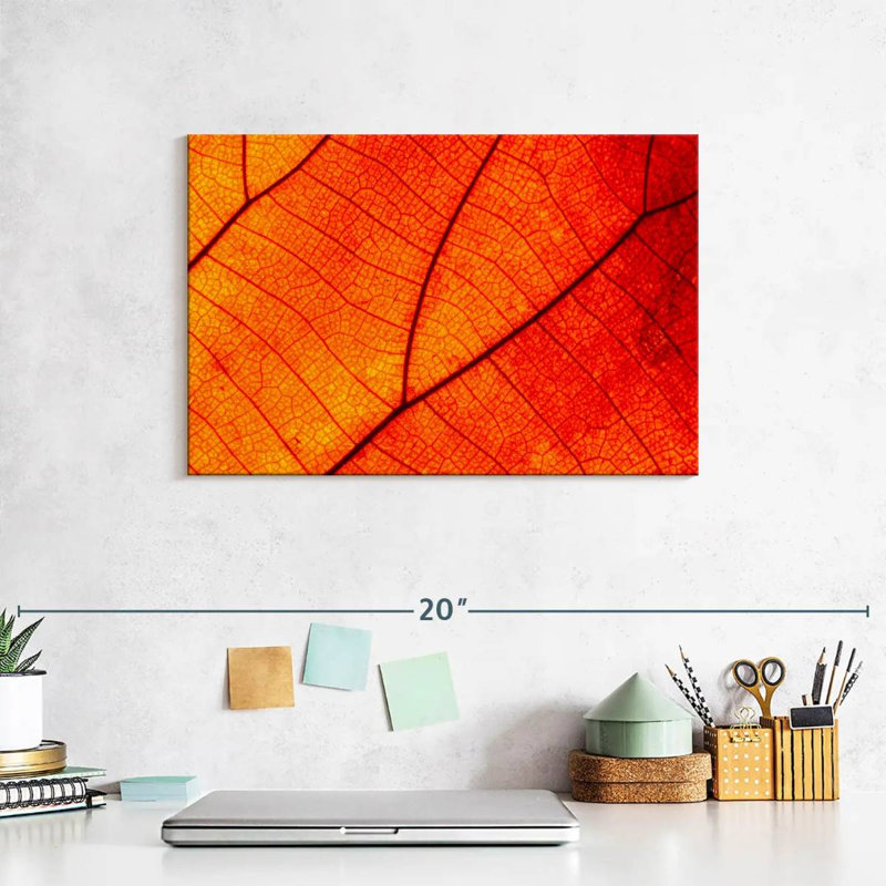 Harnek Autumn Leaf Venation