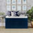 Trejan 10 Pair Stackable Shoe Storage Bench-100088834