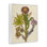 Neon Desert Blooms Giclee Art, design by Melissa Wang