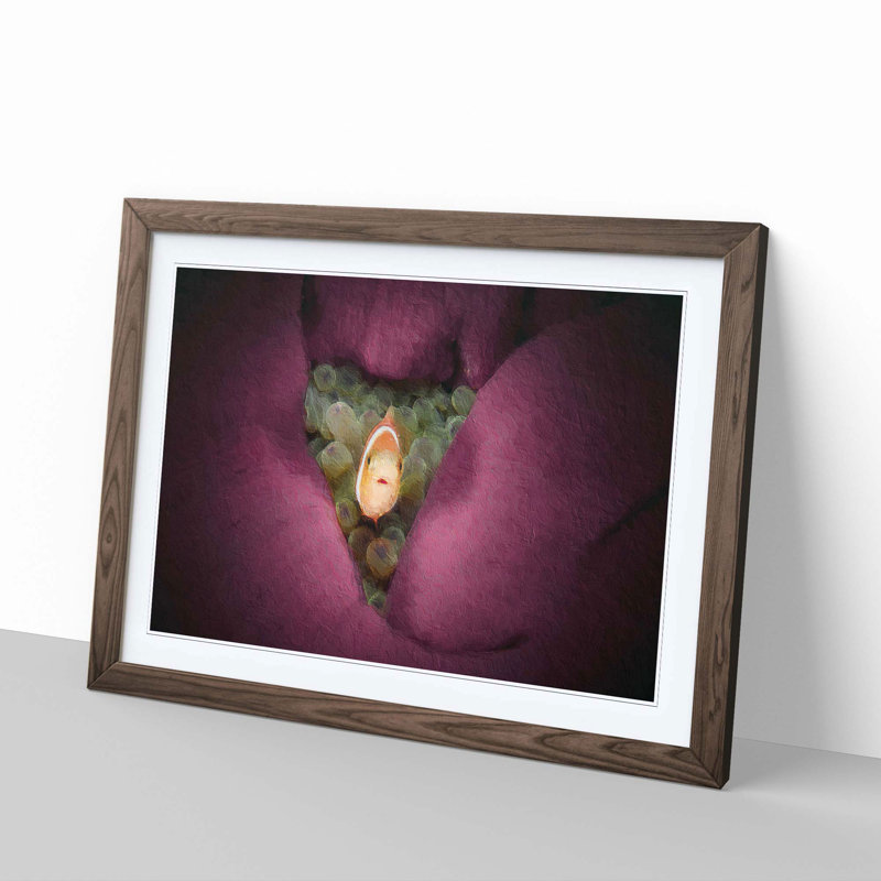 Clownfish & Sea Anemone - Picture Frame Painting, Walnut Framed, 48cm H x 65cm W x 2cm D