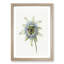 Passion Flower by Jean Bernard - Picture Frame Painting Print-55577906-55577907